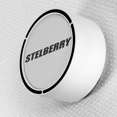 Система оповещения «STELBERRY»