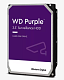 WD101PURP