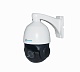 AltCam DSDV21IR
