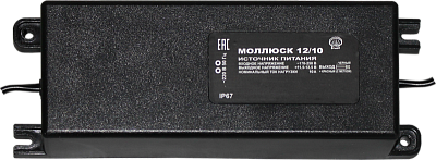 Моллюск 12/10