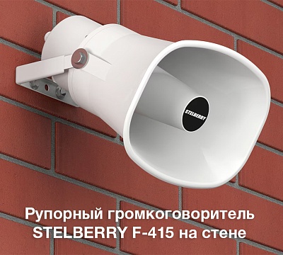 Stelberry F-430